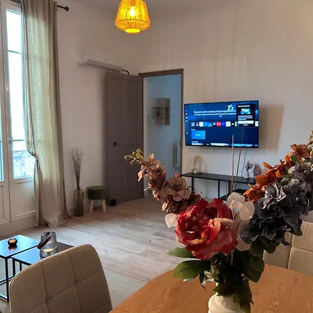 Chaleureux En Centre Apartment